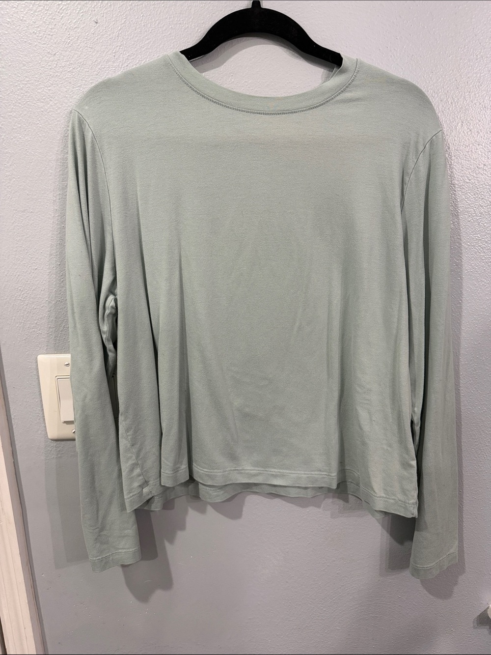 Women's Long Sleeve Crewneck Top in Sage Green